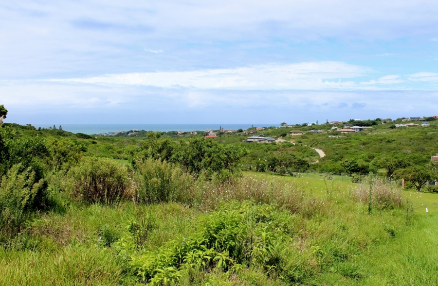 0 Bedroom Property for Sale in Forest Downs Eastern Cape